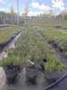 382797ef-098b-4913-8301-784365cb