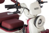 Электротрицикл Rutrike Gelbert Mercury 48V/60V 650Вт